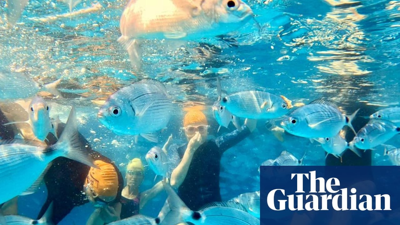 AI-generated conceptual illustration for Finding Connection and Mental Respite Through Open-Water Swimming