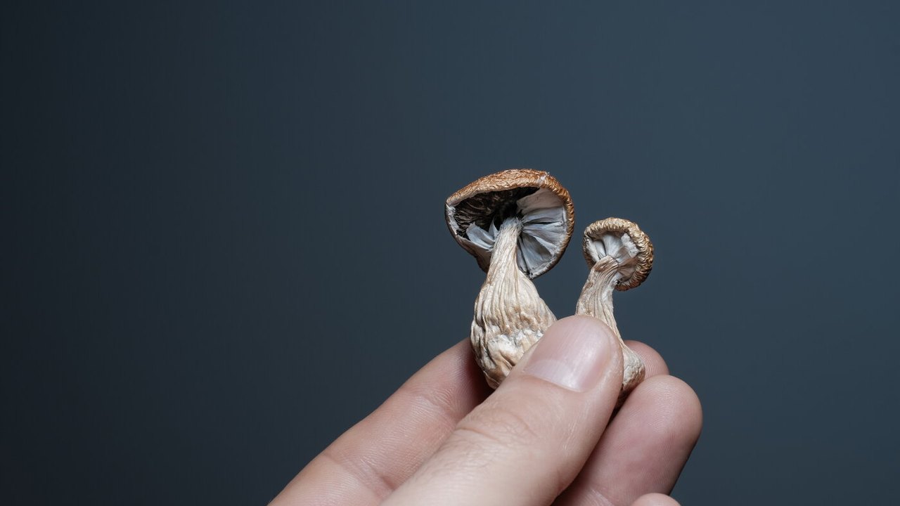 AI-generated conceptual illustration for New Human Data Indicates Potential for Psilocybin to Reduce Inflammation