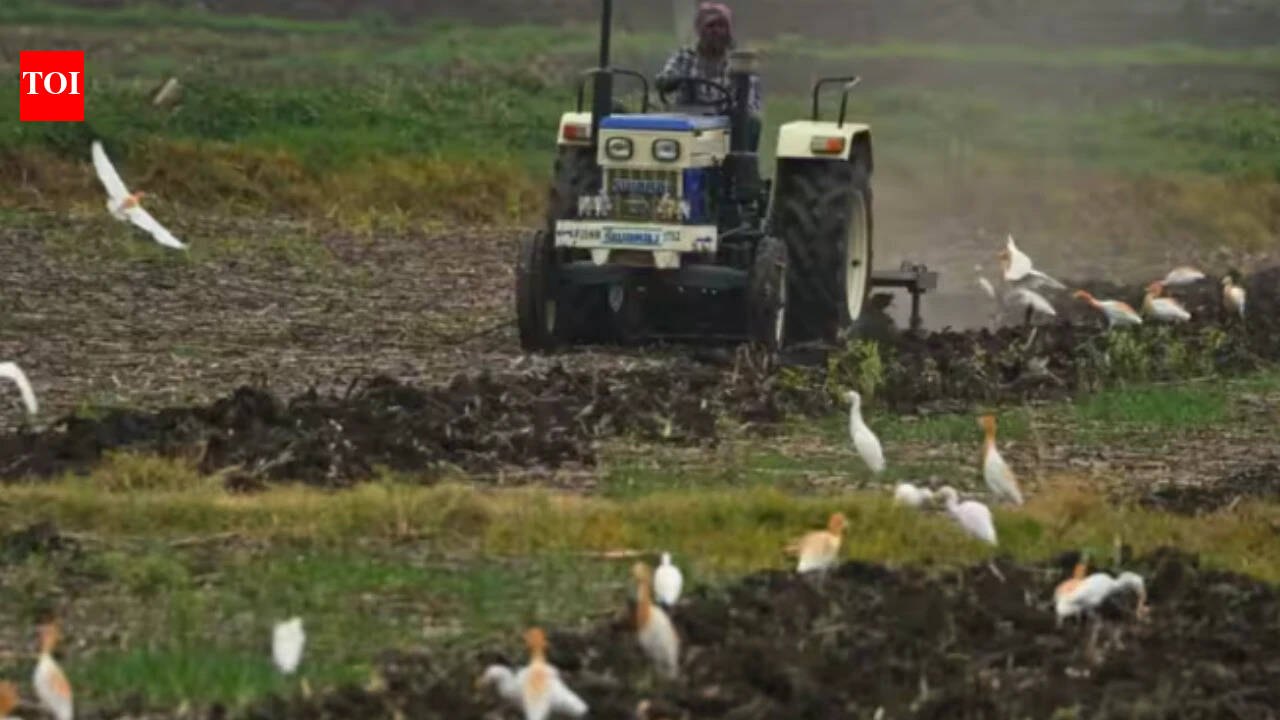 AI-generated conceptual illustration for Understanding the Uttar Pradesh Agricultural Input Subsidy Schemes