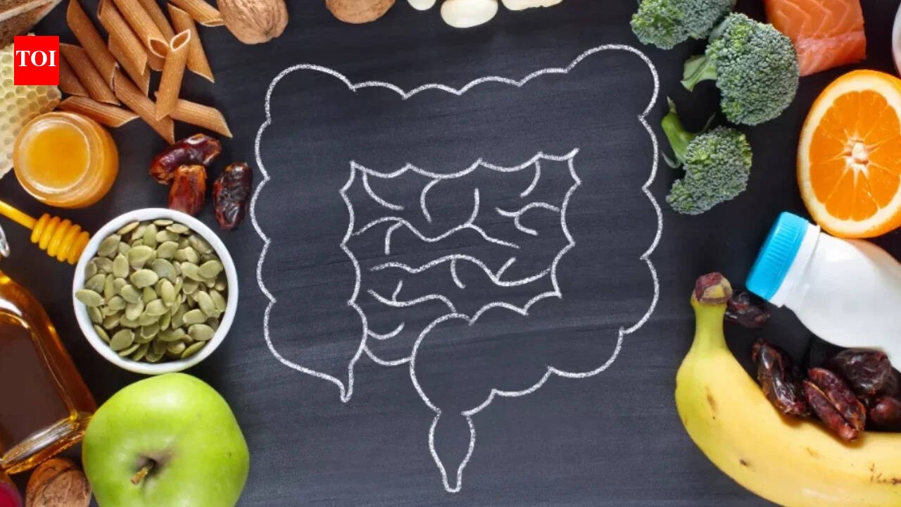 AI-generated conceptual illustration for Beyond Digestion: Why Gut Microbiome Health Is Central to Long-Term Wellness